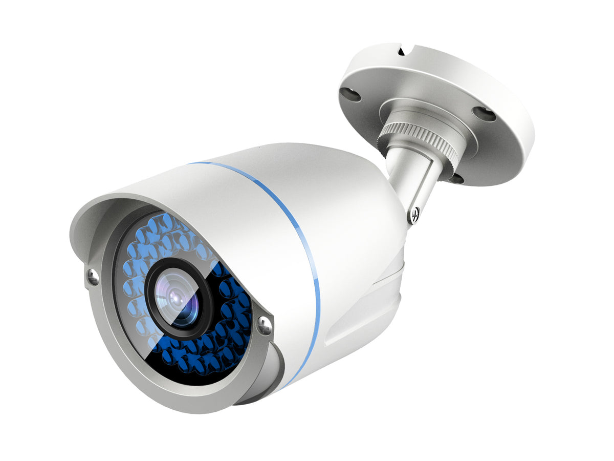 LevelOne ACS-5602 Caméra de Sécurité CCTV Extérieure Dôme Balle, Blanc