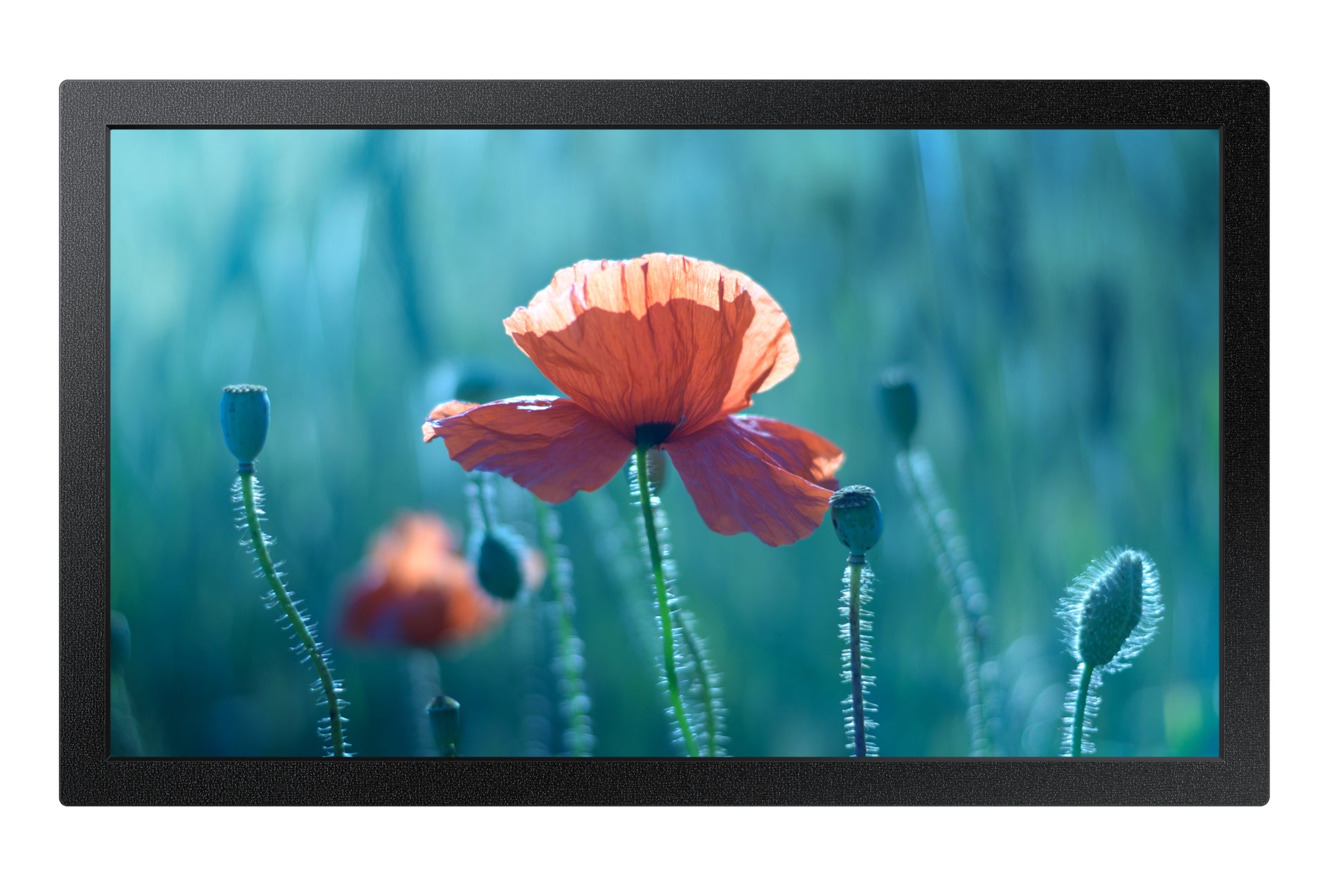 Samsung Samsung QB13C 33 cm (13") LCD Wifi 500 cd/m² Full HD Noir 16/7