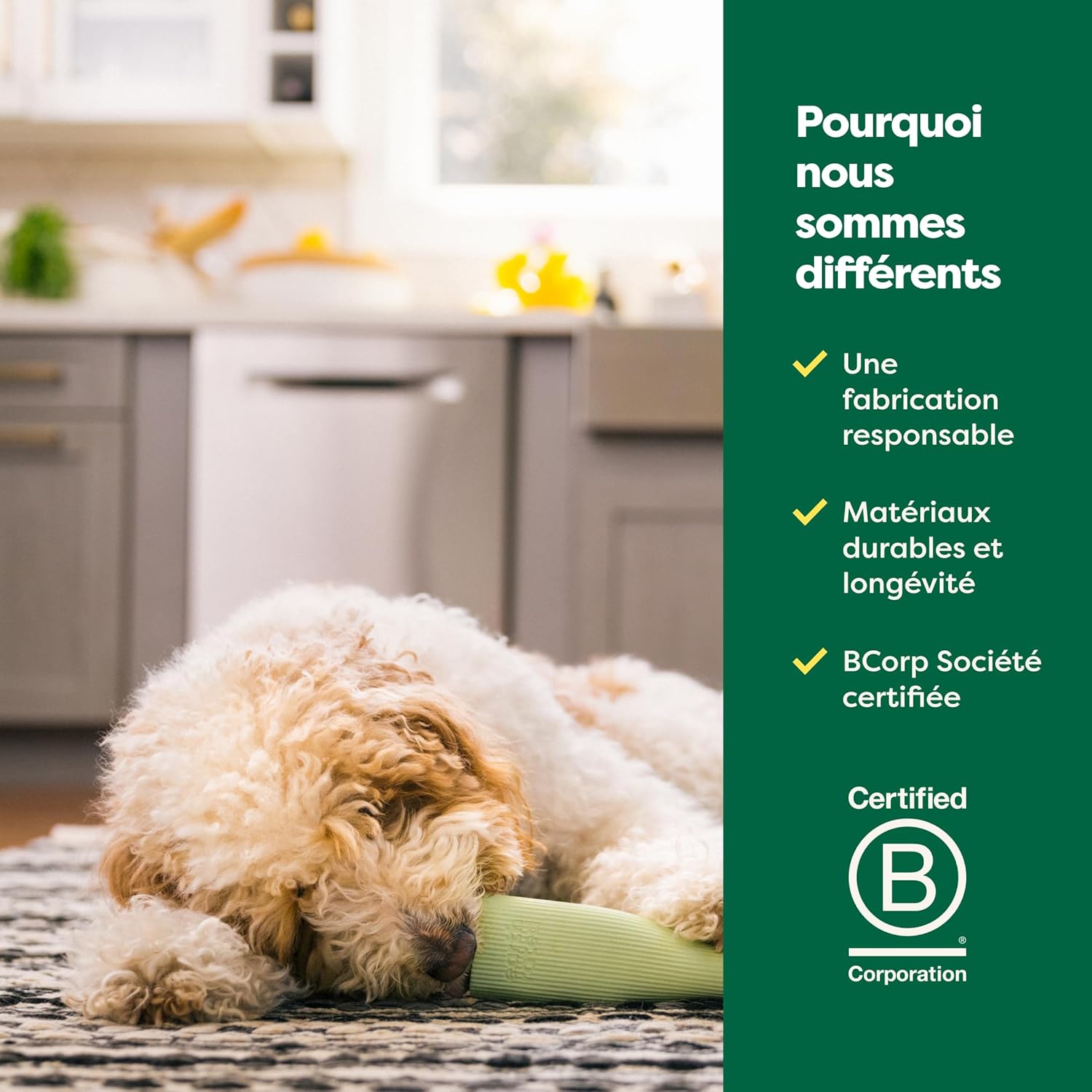 EARTH RATED Jouet d'enrichissement pour chiens adultes et chiots - Vert - Taille S