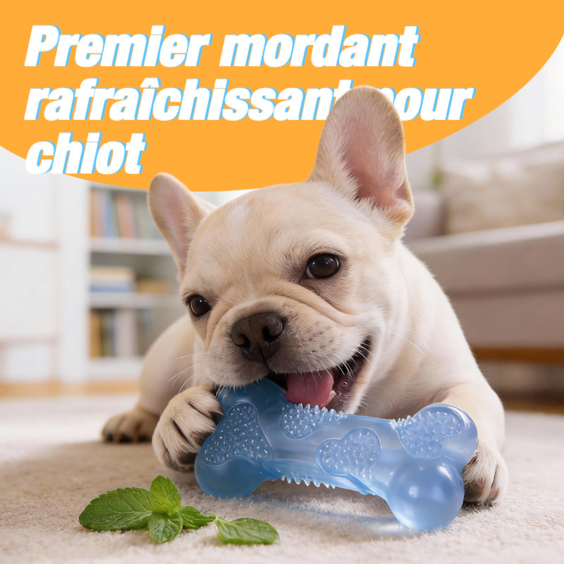 Blinkit Ensemble de jouets de dentition pour animaux, jouets pour chiens forme d’os fromage, pour nettoyage des dents, adapté à toutes les races de chiens