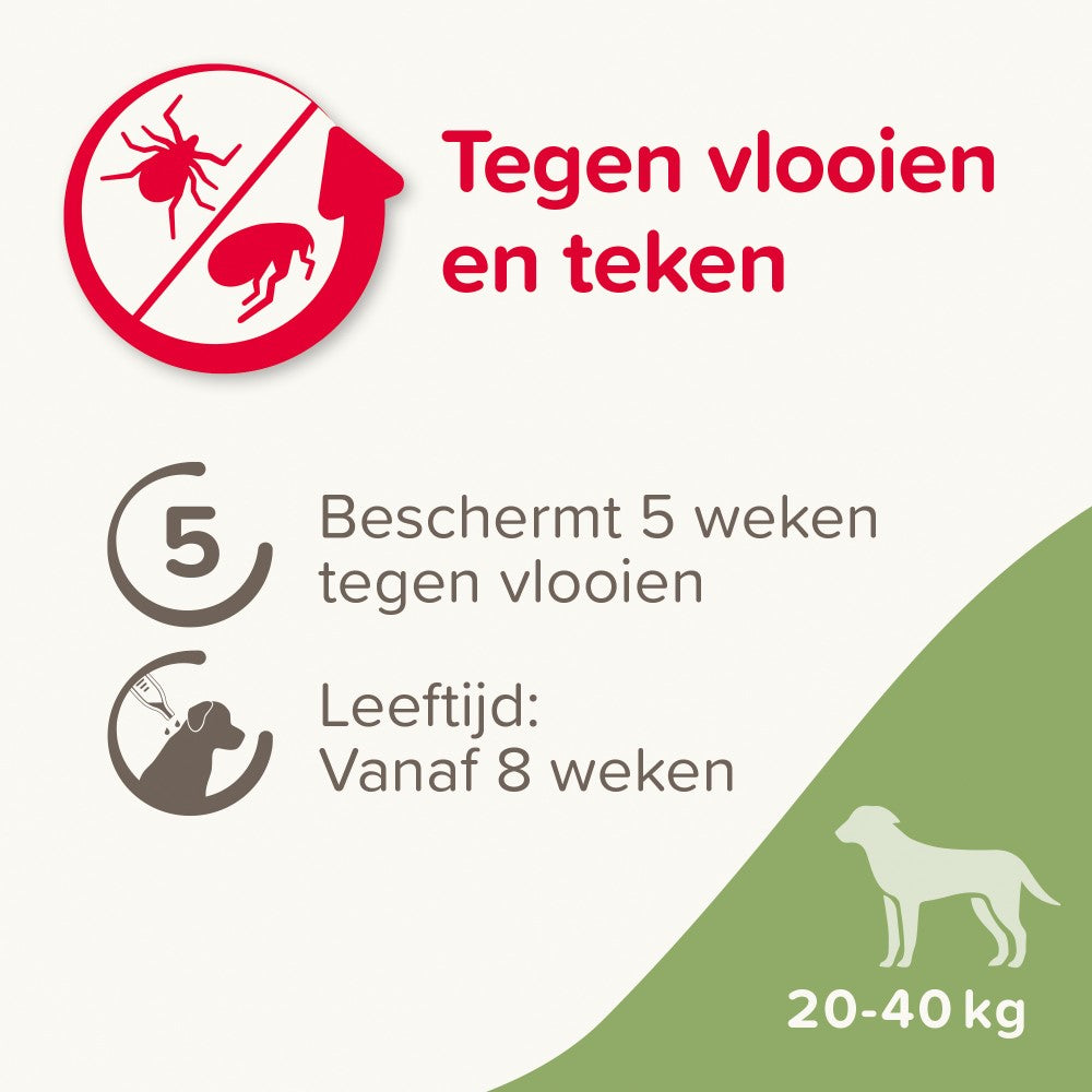Beaphar Fiprotec Solution spot-on pour chiens 20-40 kg 3+1 pipettes
