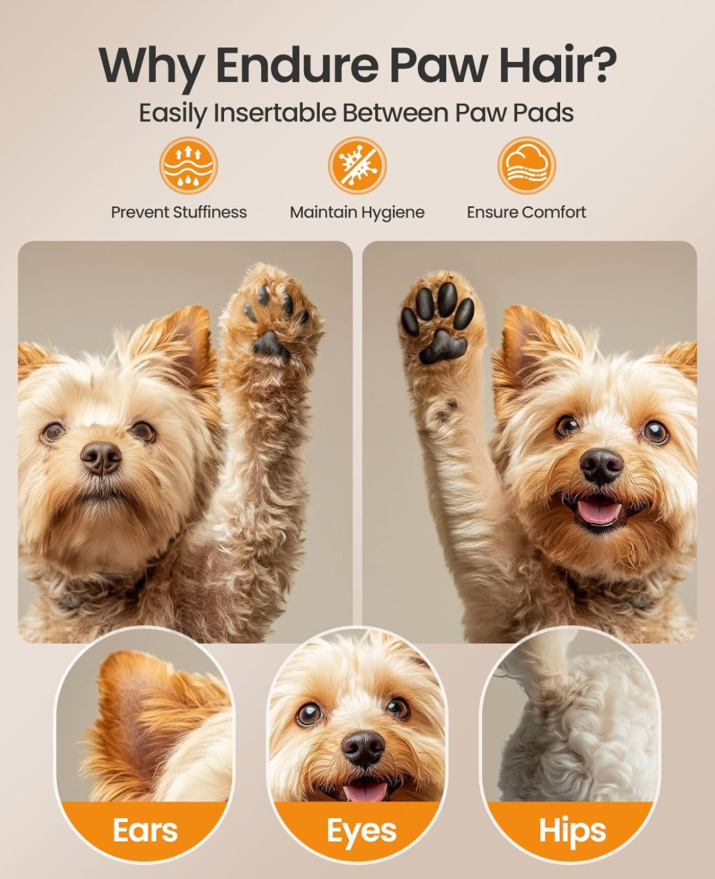Oneisall DTJ 002 Tondeuse sans fil multifonction pour chiens et chats