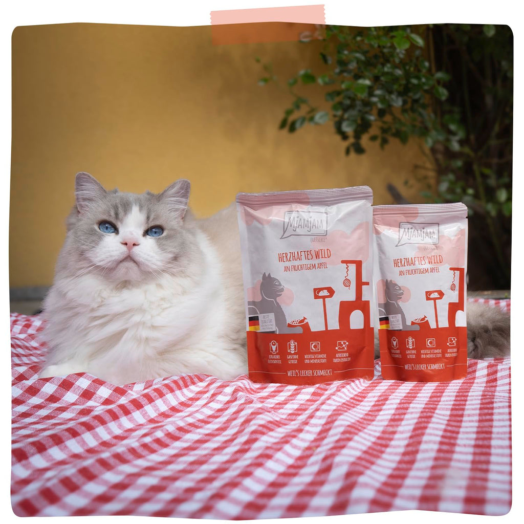 MjAMjAM [Peut être servi frais pour l’été] Aliment humide pour chat en gourde Gibier 300 g x 6