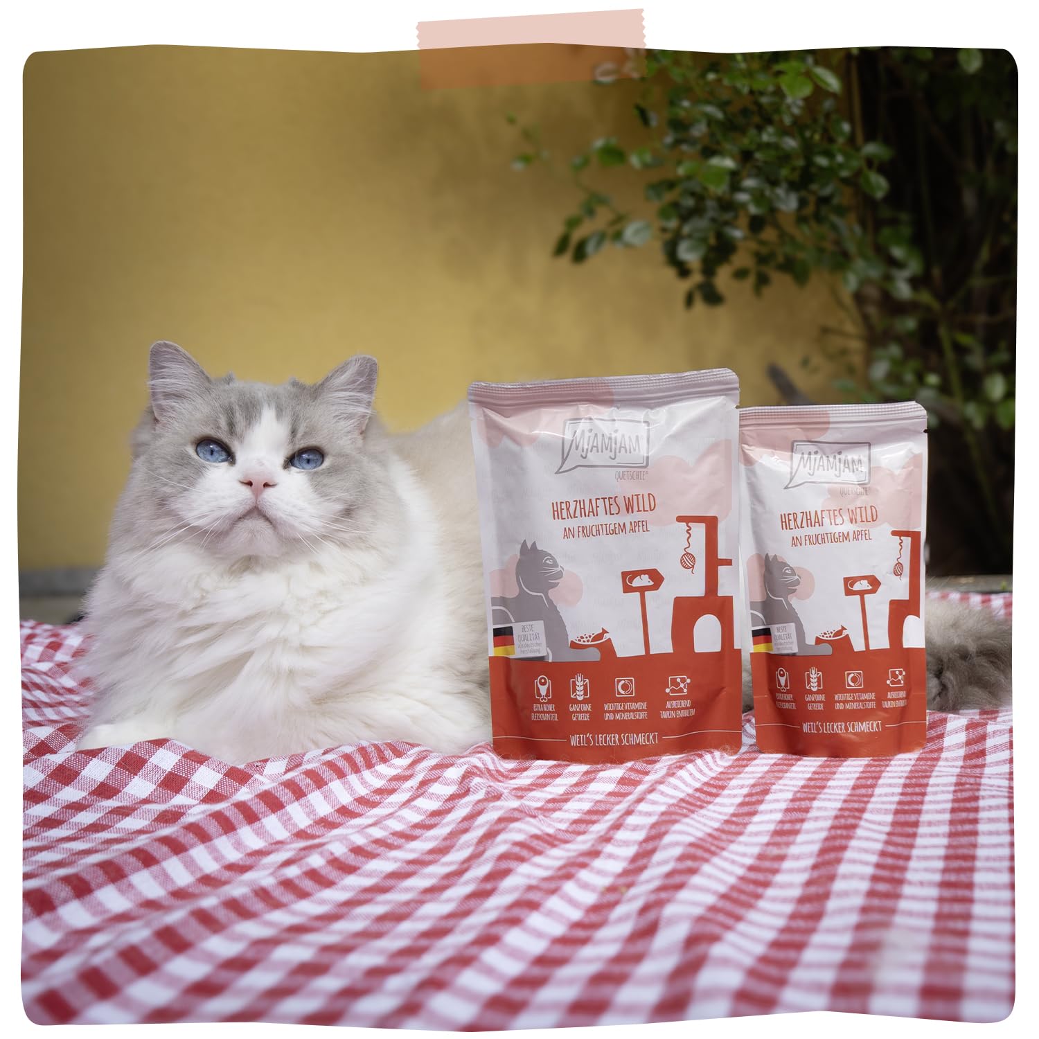 MjAMjAM [Peut être servi frais pour l’été] Aliment humide pour chat en gourde Gibier 300 g x 6