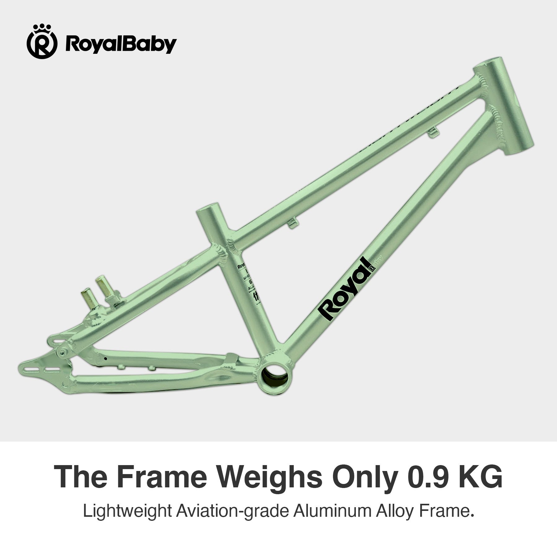 RoyalBaby+ Vélo pour enfants+ Aluminium Freestyle PRO+ 18 pouces Vert, Poids net 6,9 kg