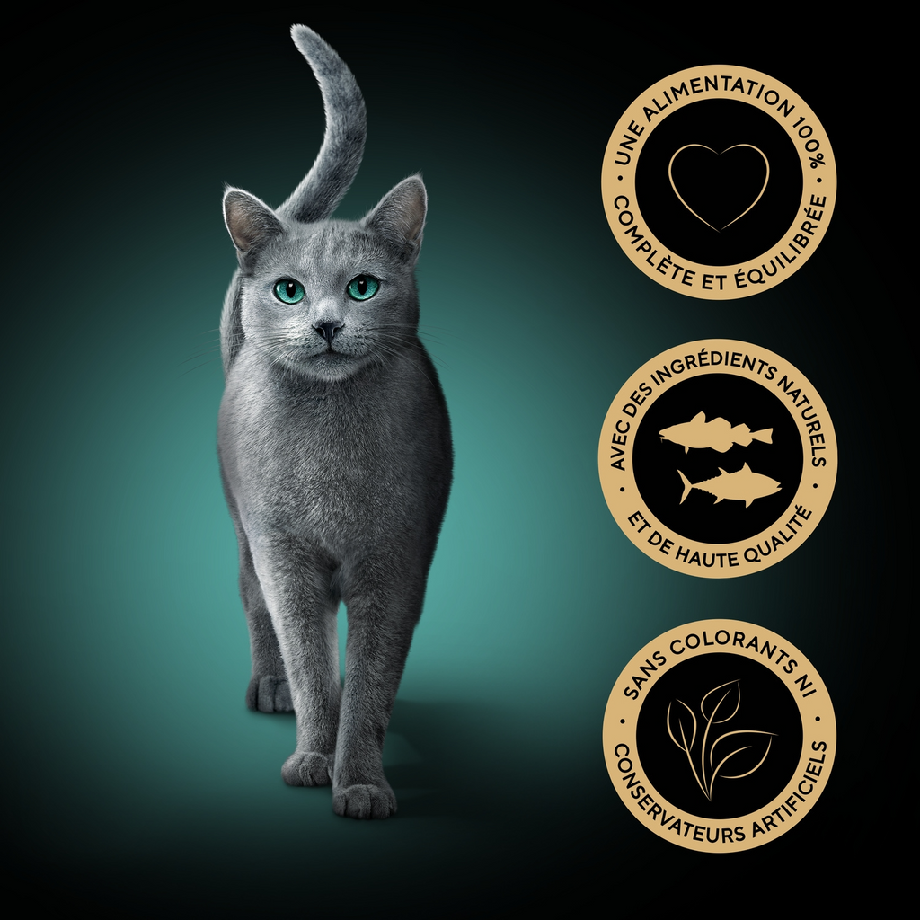 Sheba Délices du Jour aux Poissons - Aliment pour chat - 6 x 50 g
