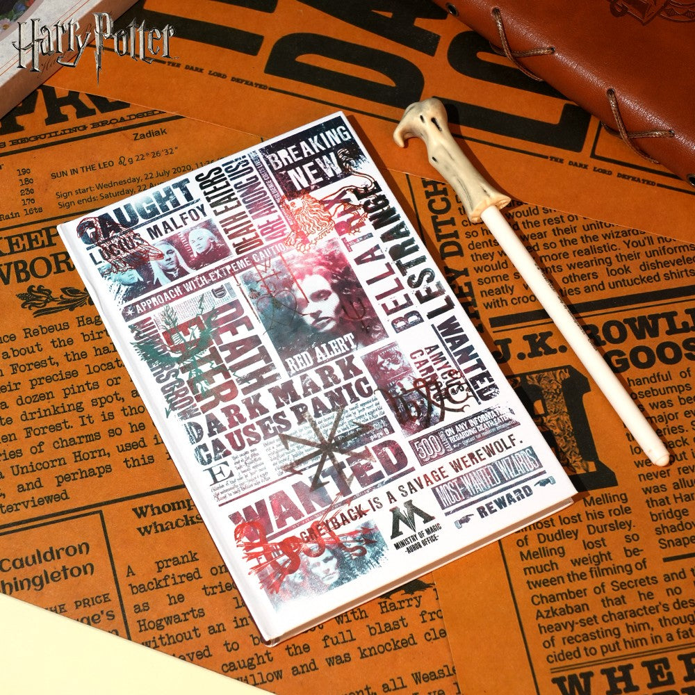 Warner Bros. Lot de 2 Carnets thème journal des forces du mal Harry Potter et Stylo baguette de Lord Voldemort Papeterie Wizarding World sous licence officielle Collection à thème exclusive Cadeau