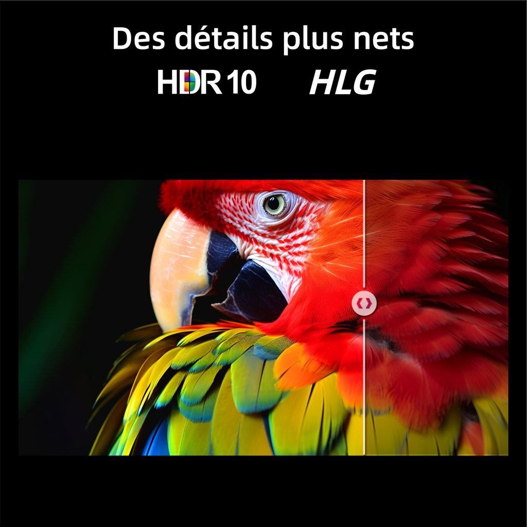 CHiQ TV QLED Pro L32QM10E 32 pouces Full HD Google TV
