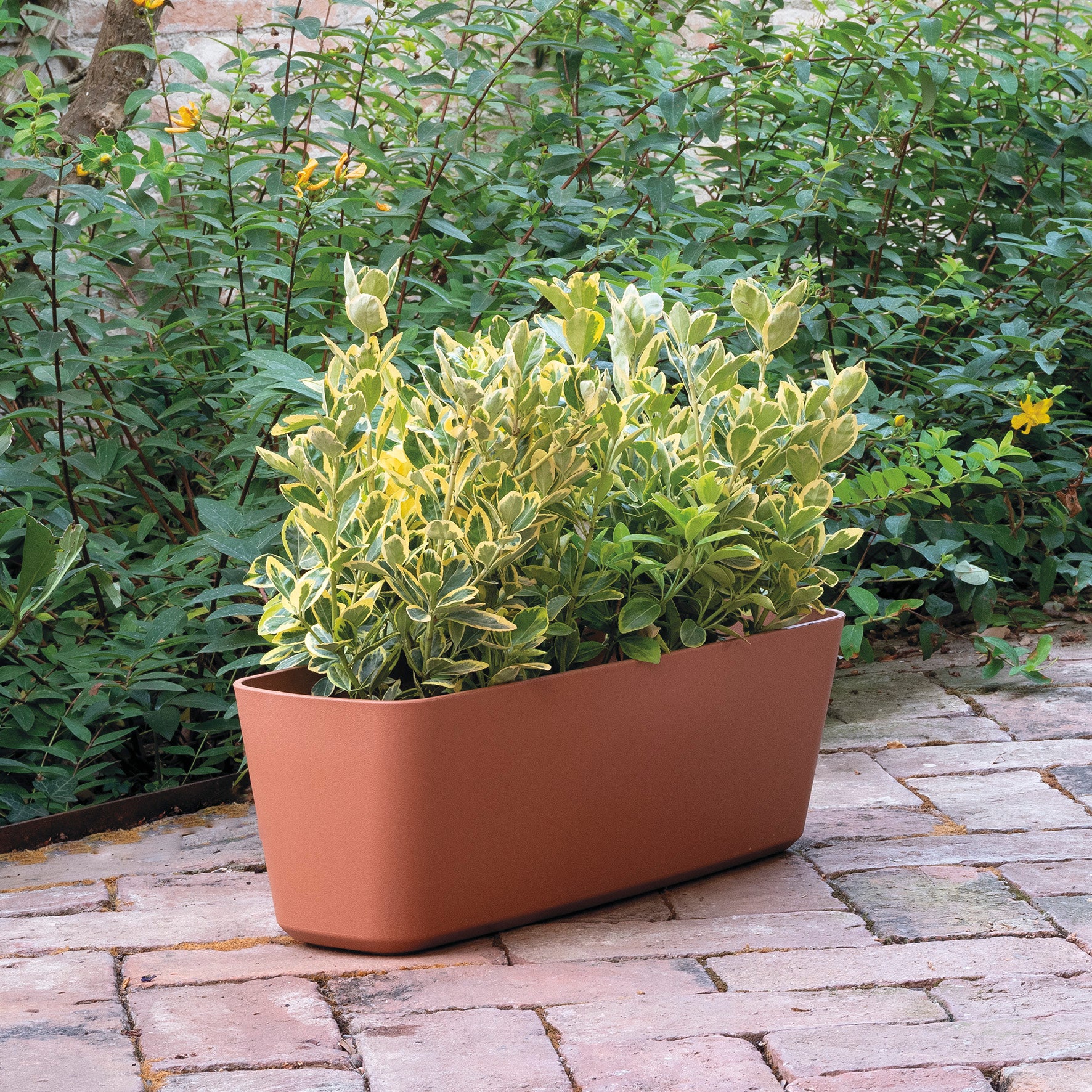 DEROMA Jardinière Origin Cotto 59cm