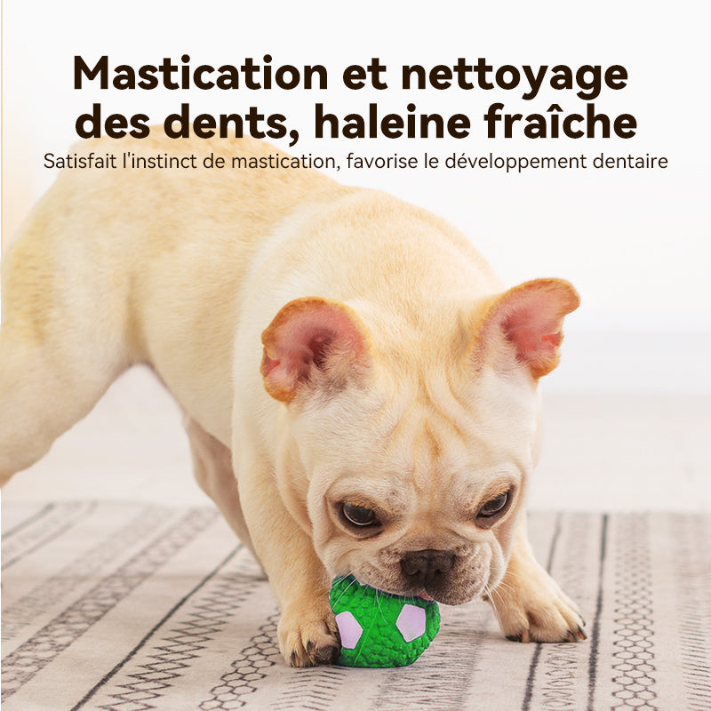 Blinkit Kit de balles jouets interactives sonores pour animaux, Son par pression pour attirer l’attention, Latex souple pour morsure douce, Conception pour nettoyage des molaires