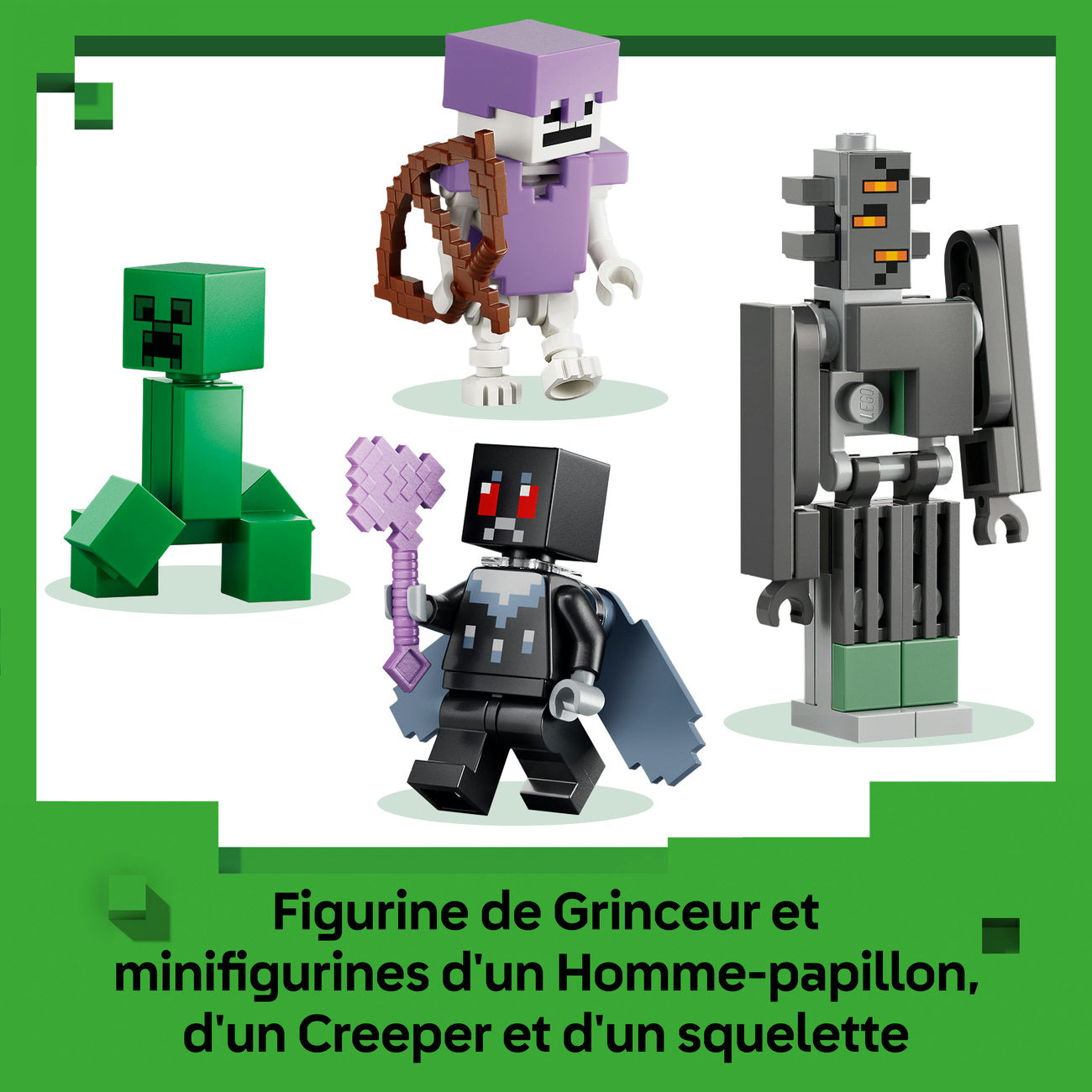 LEGO Minecraft 21586 Le Jardin pâle