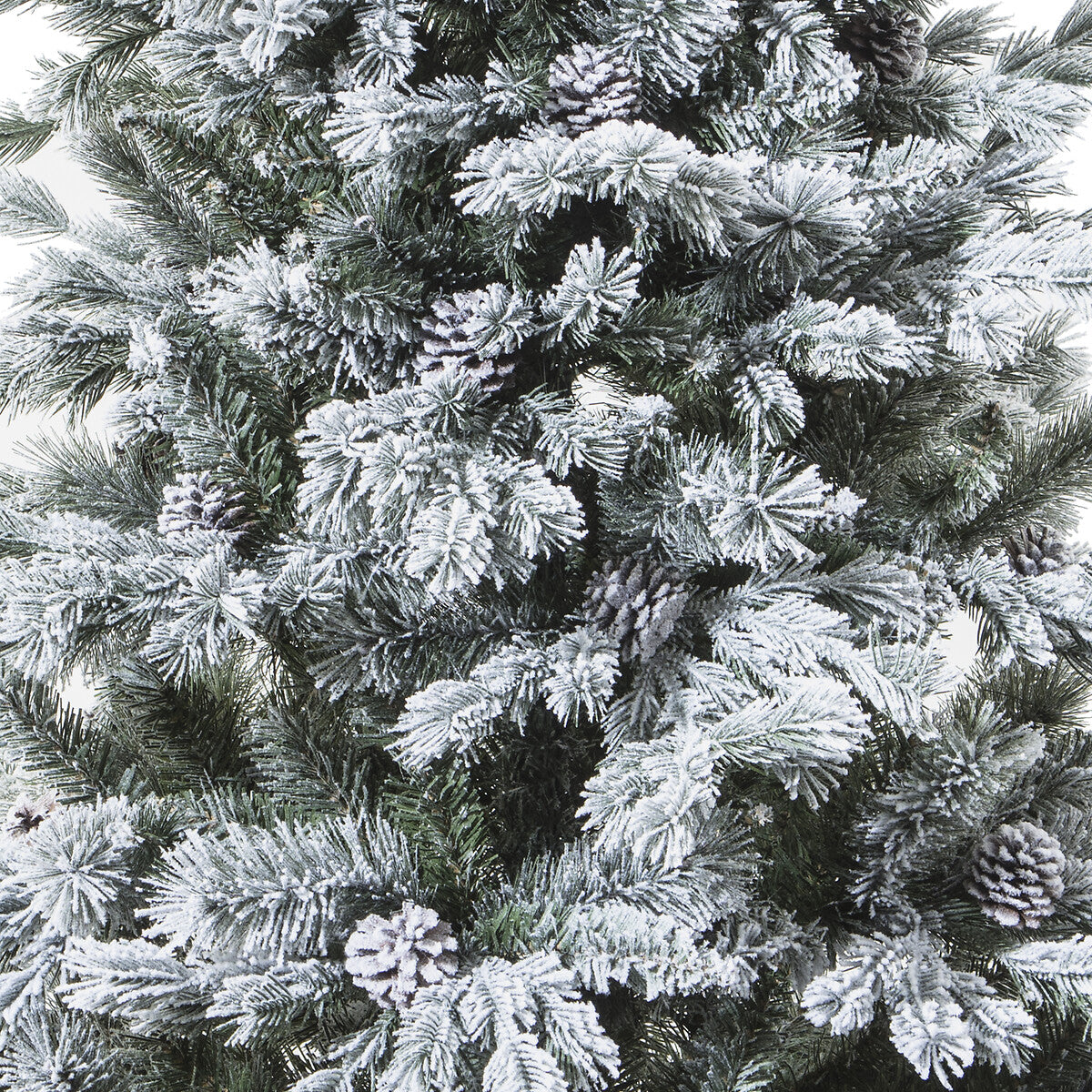 Sapin yukon h150cm