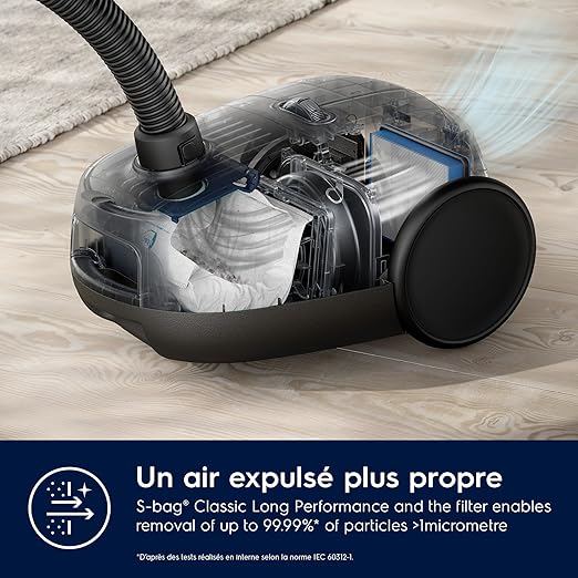 Electrolux 600 EB61C4OG Aspirateur traîneau avec sac