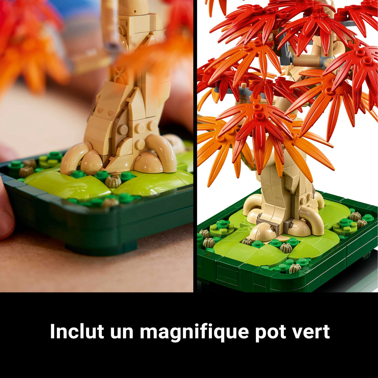 LEGO Botanicals 10348 Bonsaï d’érable rouge du Japon