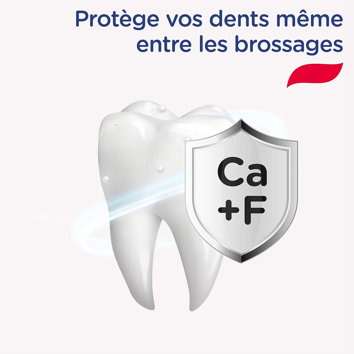 Signal Dentifrice Protection Anti-Caries 75 ml