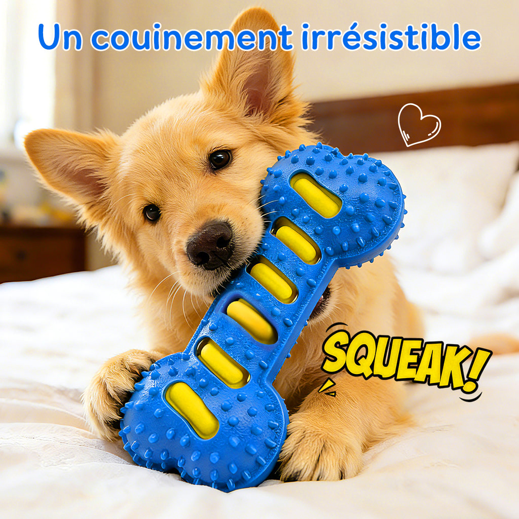 BLINKIT Jouet sonore os en TPR et PVC pour petits et moyens chiens