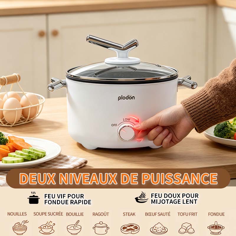 plodon Marmite électrique 2,0 L, portable, multifonction et antiadhésive, 1000 W, cuiseur de nouilles rapide, wok, mijoteuse, pour steak, œuf, nouilles ramen, soupe d’avoine