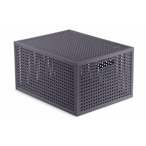 CURVER Boîte KAYA 20L 41.6 x 30.0 x 7.1 cm