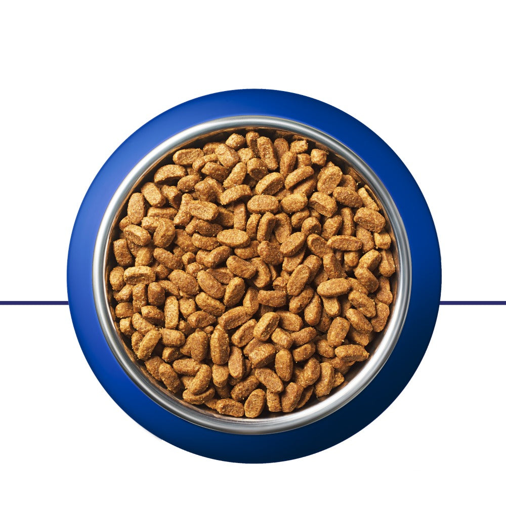 PURINA ONE Junior Croquettes pour Chaton (1 à 12 mois) Riche en Poulet 1,5kg