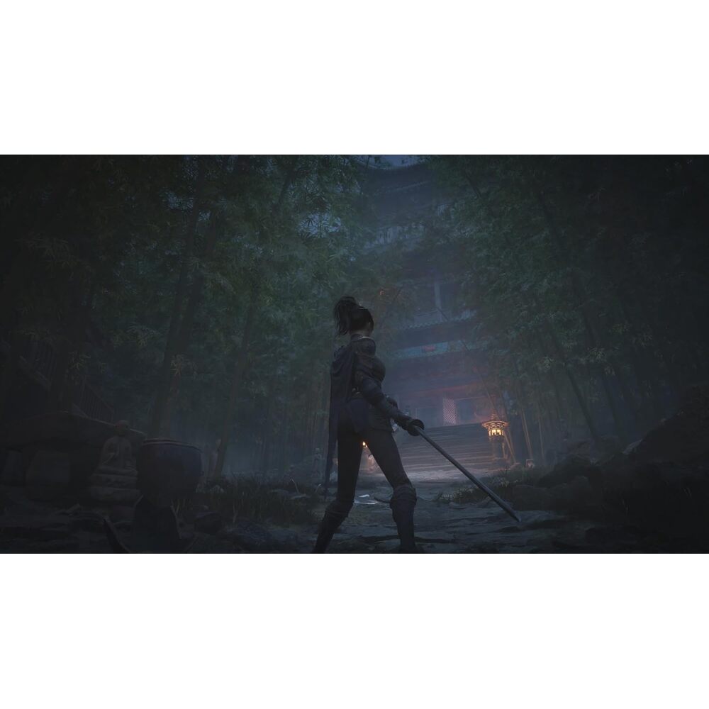 Wuchang: fallen feathers day one edition - PS5 - version française