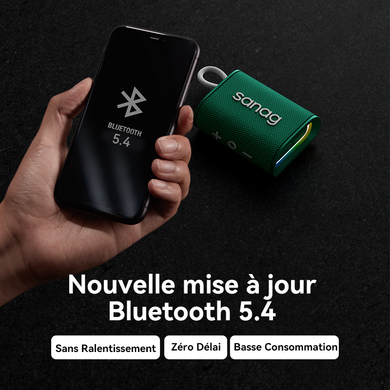 Sanag M13S II Pro Max Enceinte sans fil Bluetooth portable et étanche - Noir