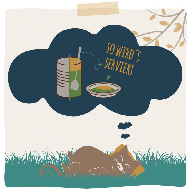[Peut être servi frais pour l'été] MjAMjAM Duett Nourriture humide culinaire pour chat poulet bœuf 390 g