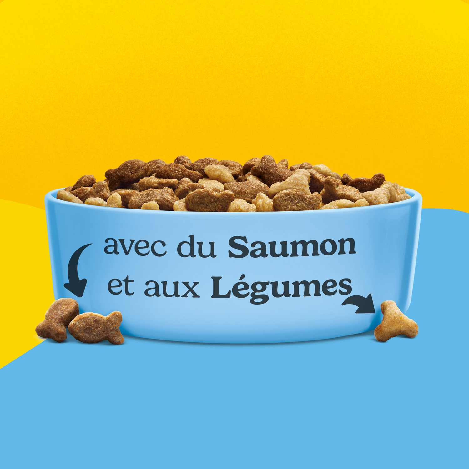 Friskies 5 Promesses Aliment sec pour chat adulte d'intérieur au saumon - 1,5 kg