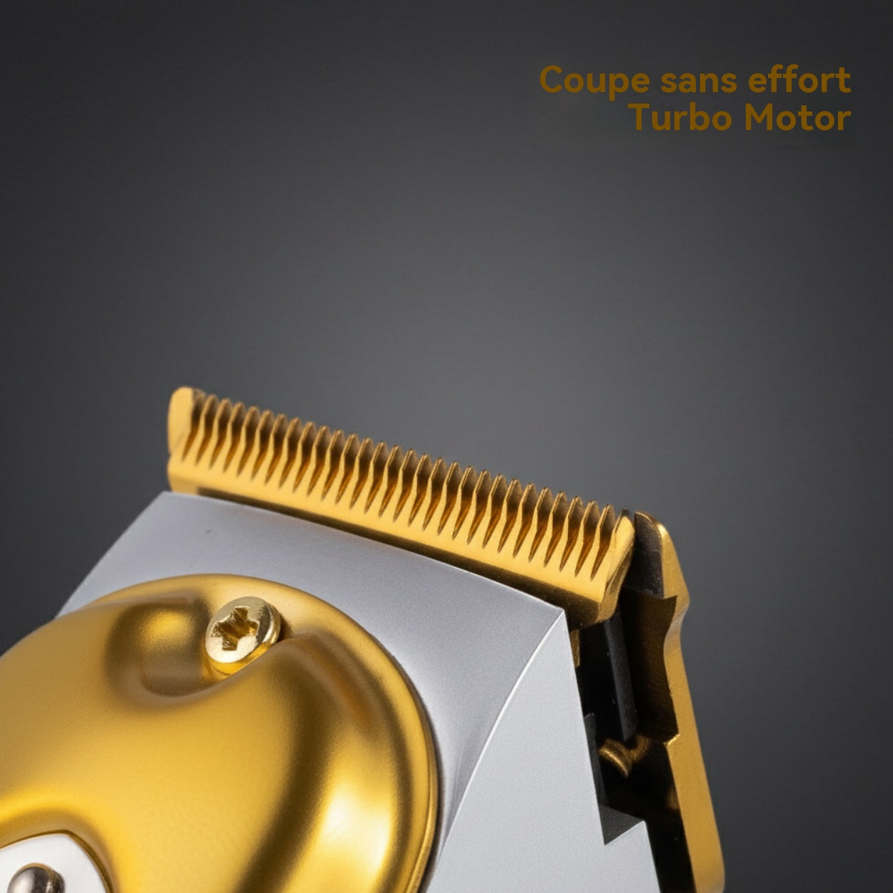 RAF Tondeuse professionnelle pour hommes, puissance 5 W, sans fil, lame T, écran LCD, pour cheveux épais, kit de toilettage à domicile