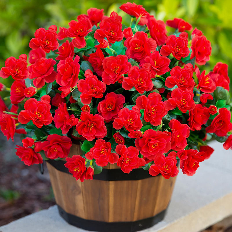 Yuejia Lot de 6 bouquets de fleurs artificielles en soie camélia rouge - 38 cm