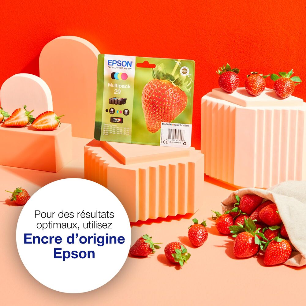Epson Cartouche d’encre noire 29 Claria Home Fraise, Pack simple