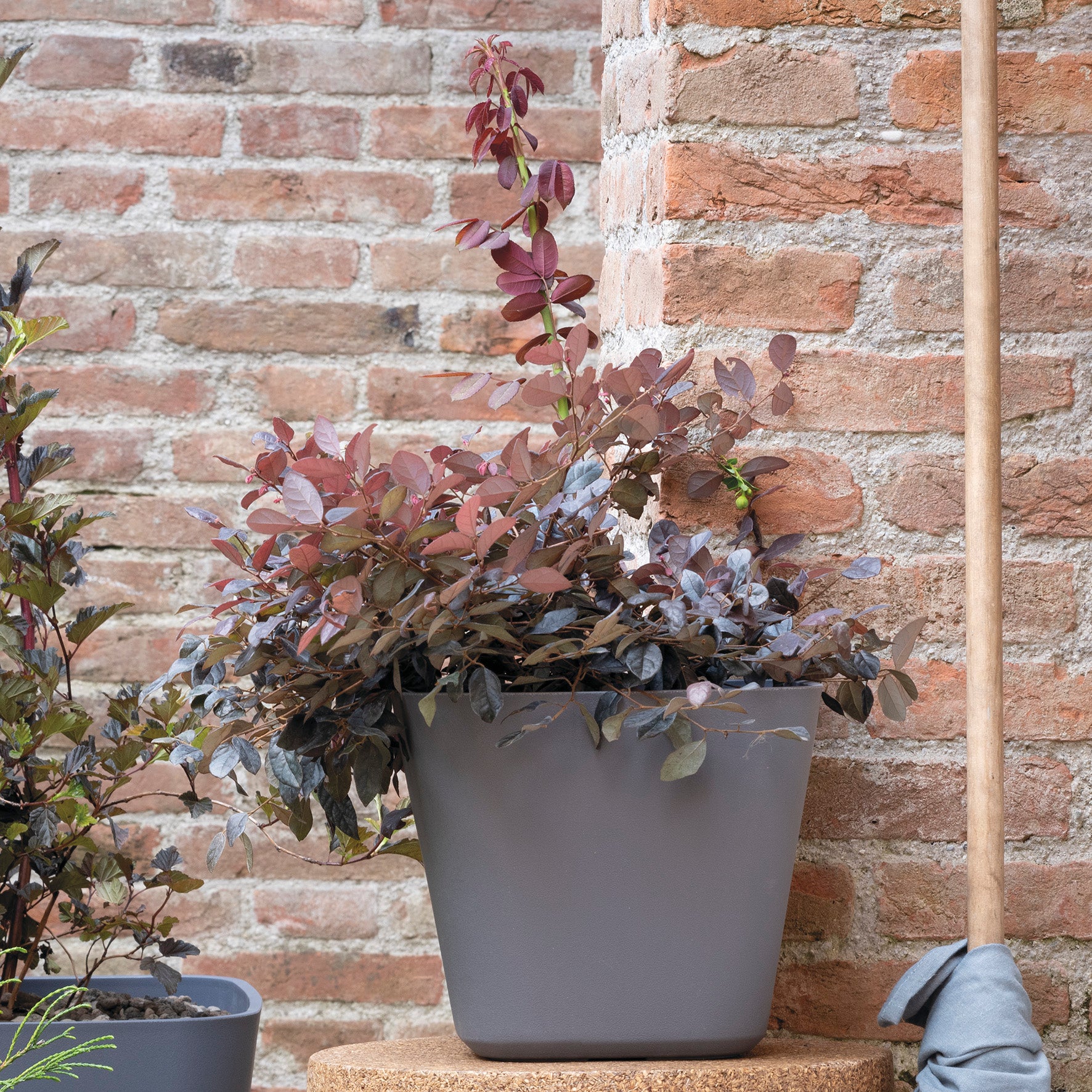 DEROMA Quadro Origin Grigio 38cm