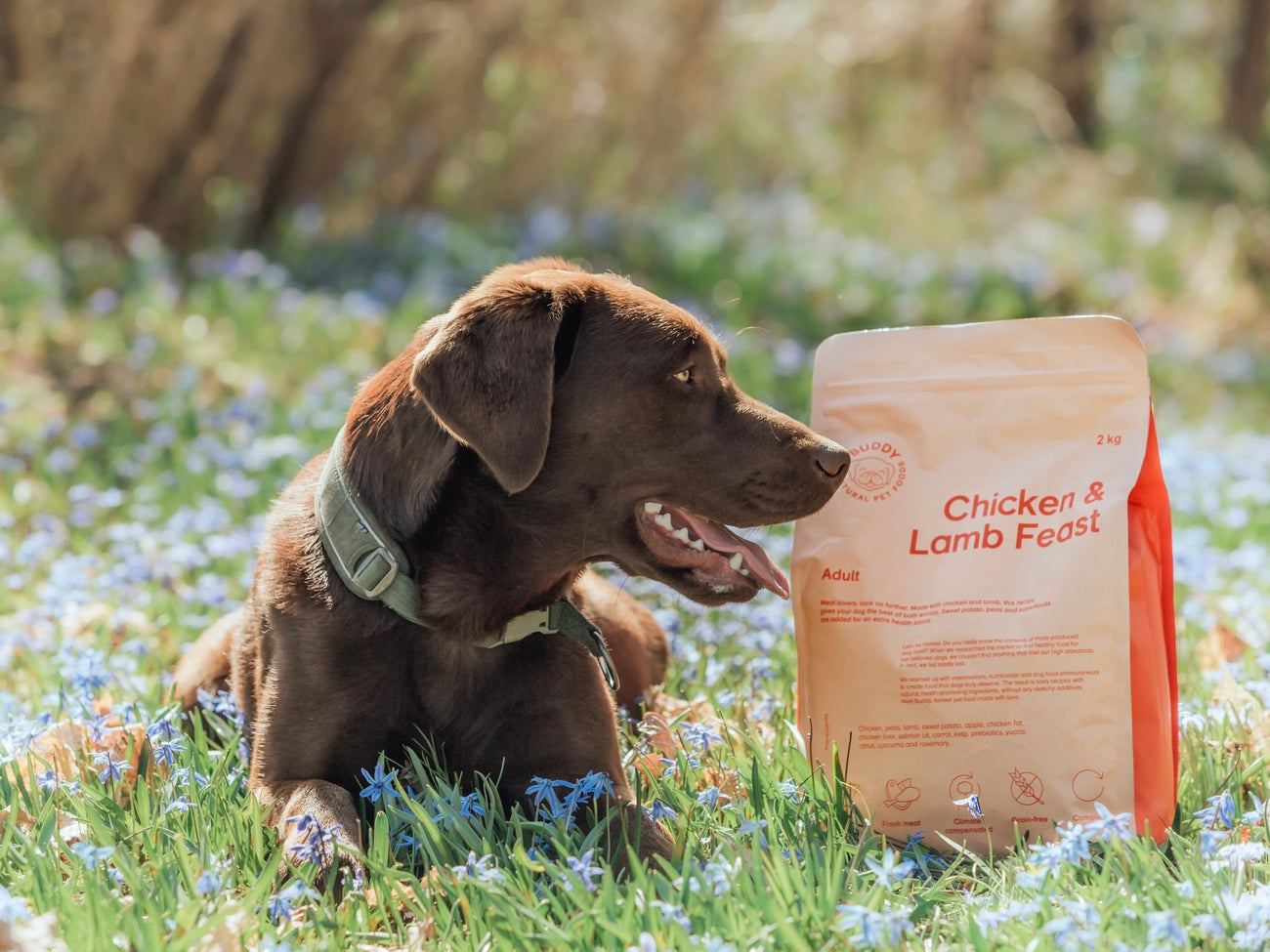 Buddy Céréales festin poulet et agneau 2 kg