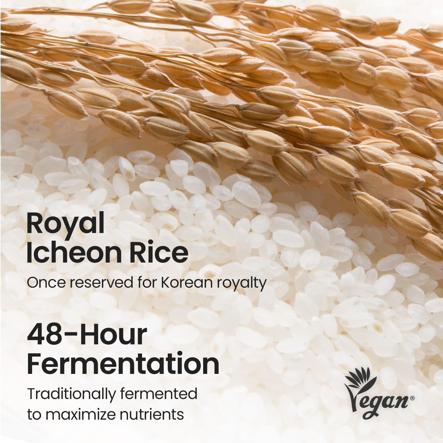 SKINFOOD Lotion Tonique Éclaircissante au Riz 160 ml