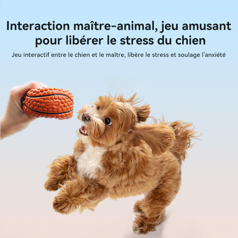 Blinkit Kit de balles jouets interactives sonores pour animaux, Son par pression pour attirer l’attention, Latex souple pour morsure douce, Conception pour nettoyage des molaires