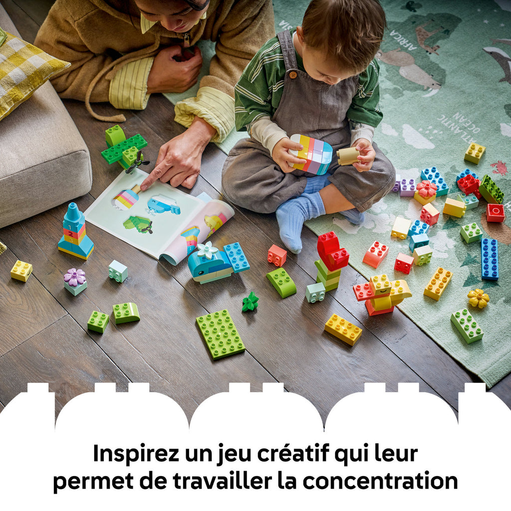 LEGO DUPLO Classic 10479 Boîte créative colorée