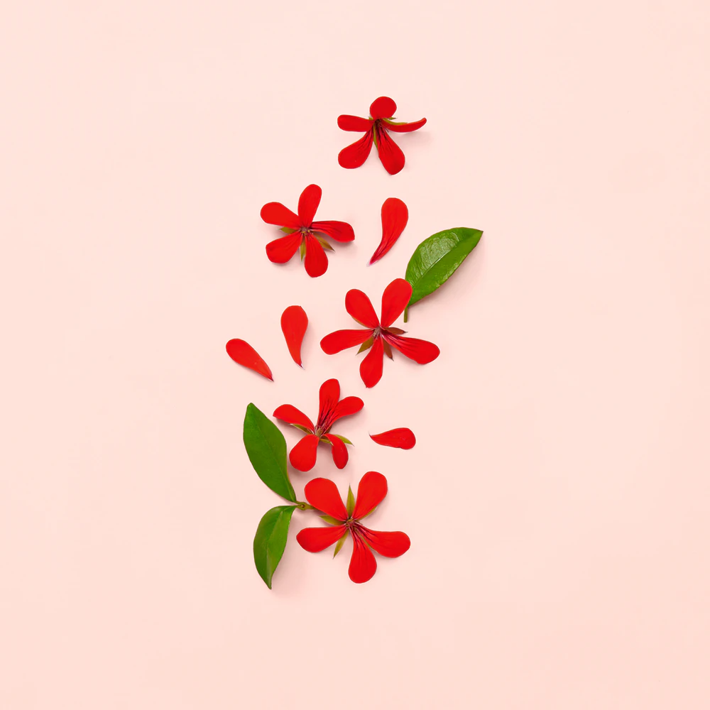 GUCCI Bloom Eau de Parfum Vaporisateur 30ml