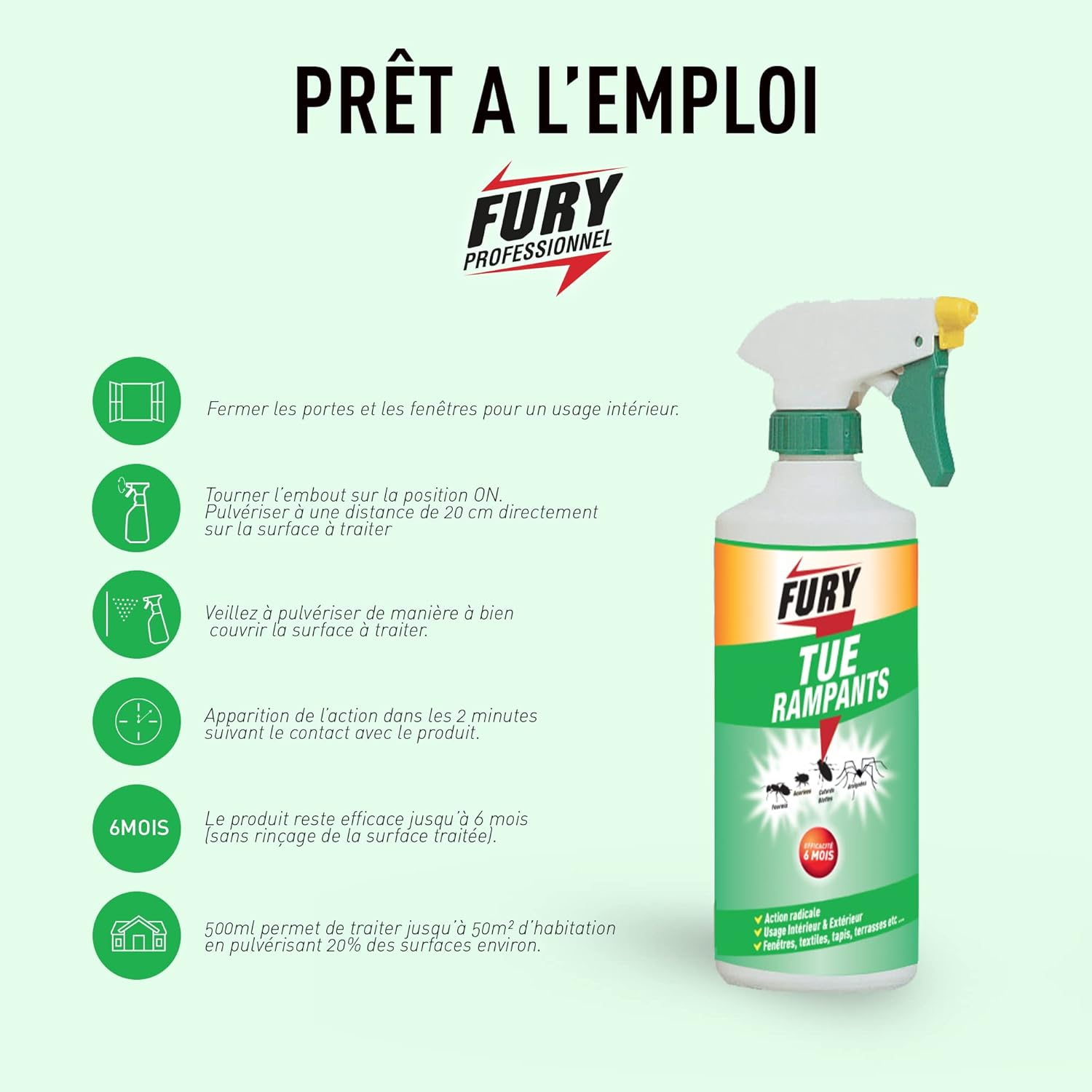FURY Spray insecticide insectes rampants protection 6 mois intérieur et extérieur 500 ml