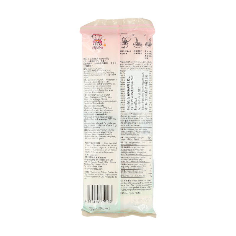 Toyoung Nouilles Udon - 300 g