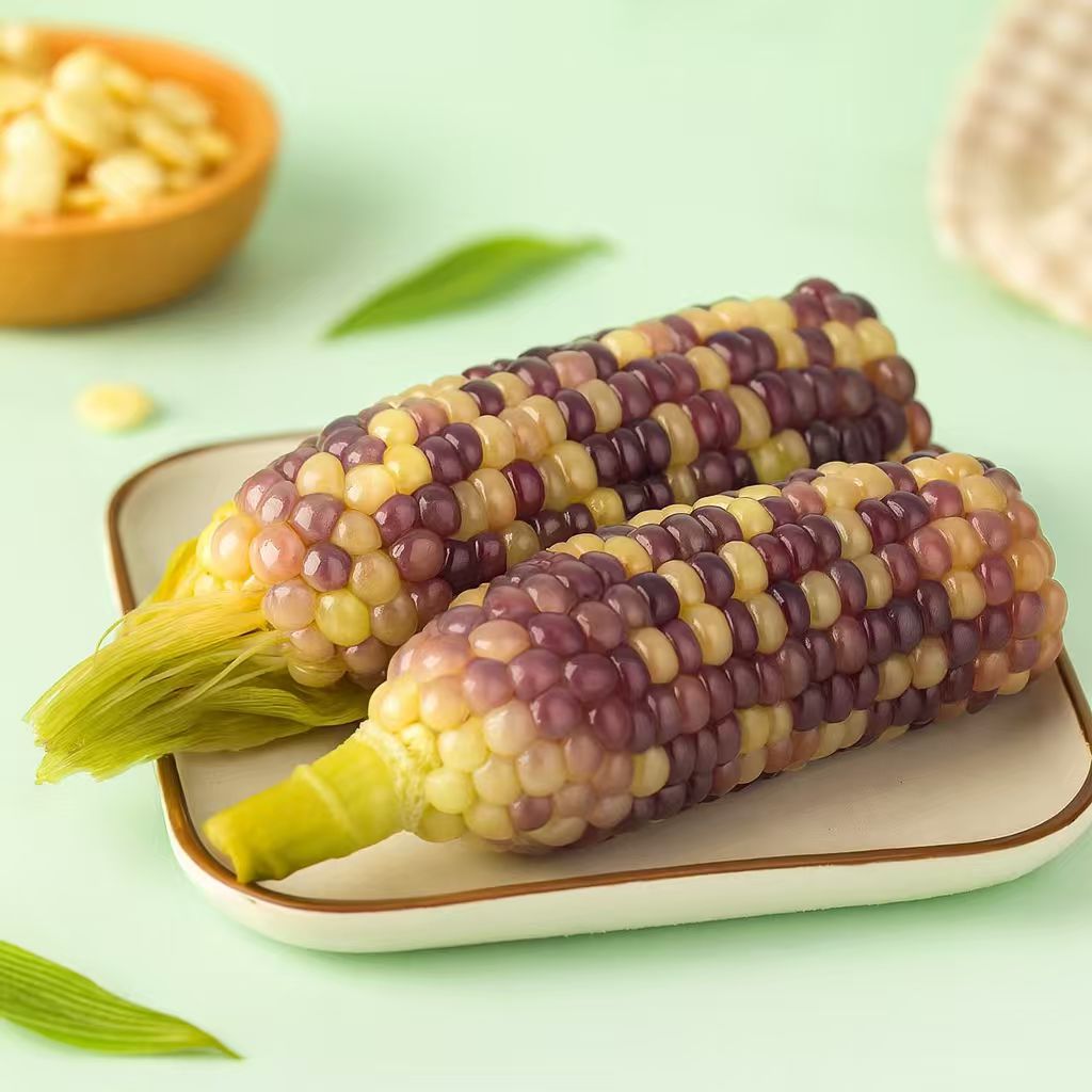 Dong Bei Nong Sao NS Maïs sous vide deux épis (glutineux coloré) 300 g