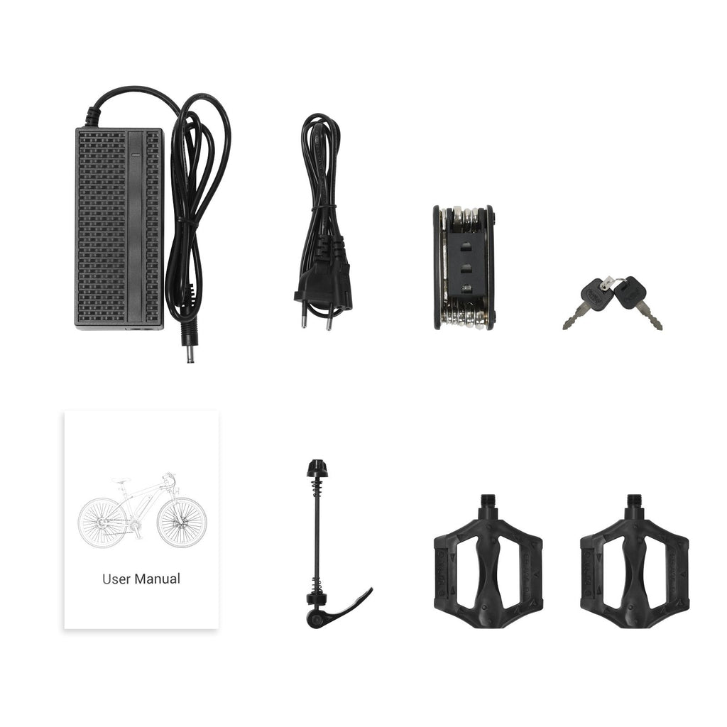 Touroll U1 Vélo électrique à enjambement élevé, 36 V, 13 Ah, 250 W - 26 pouces
