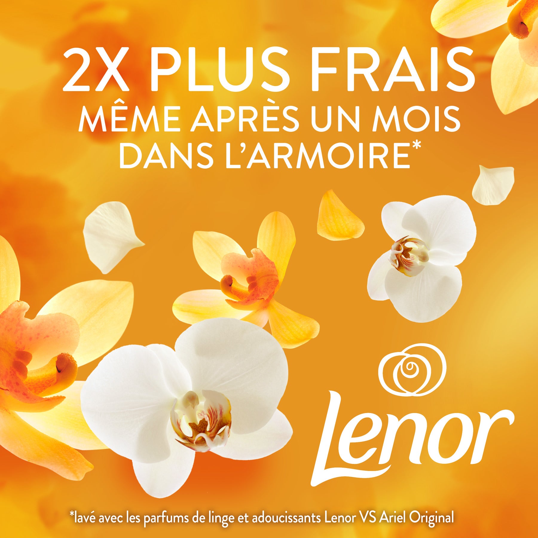 Lenor Parfum de linge en perles Ambre et orchidée 240 g
