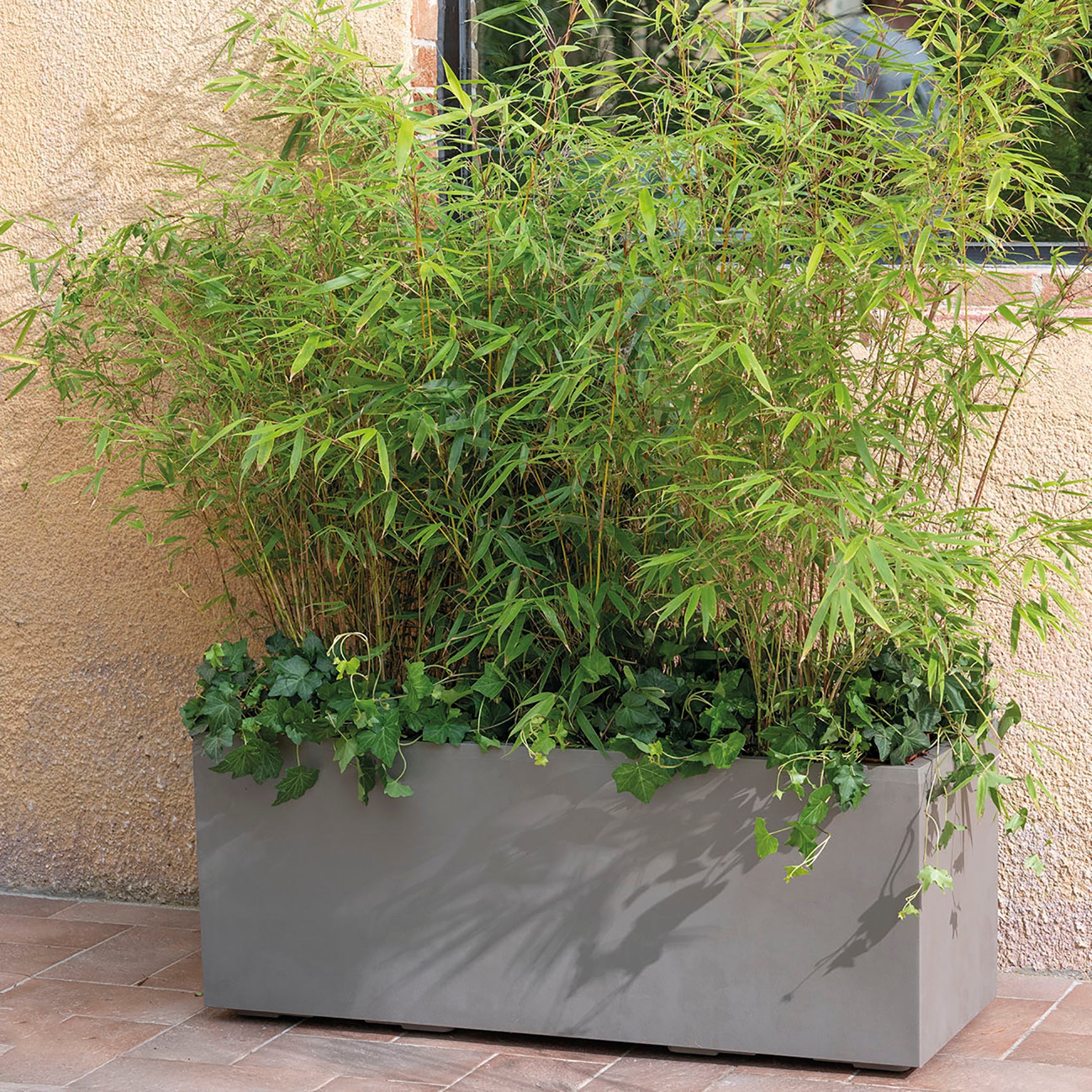 Deroma Millennium R Jardinière murale, Couleur grès, avec réserve d’eau et roulettes, 99 cm