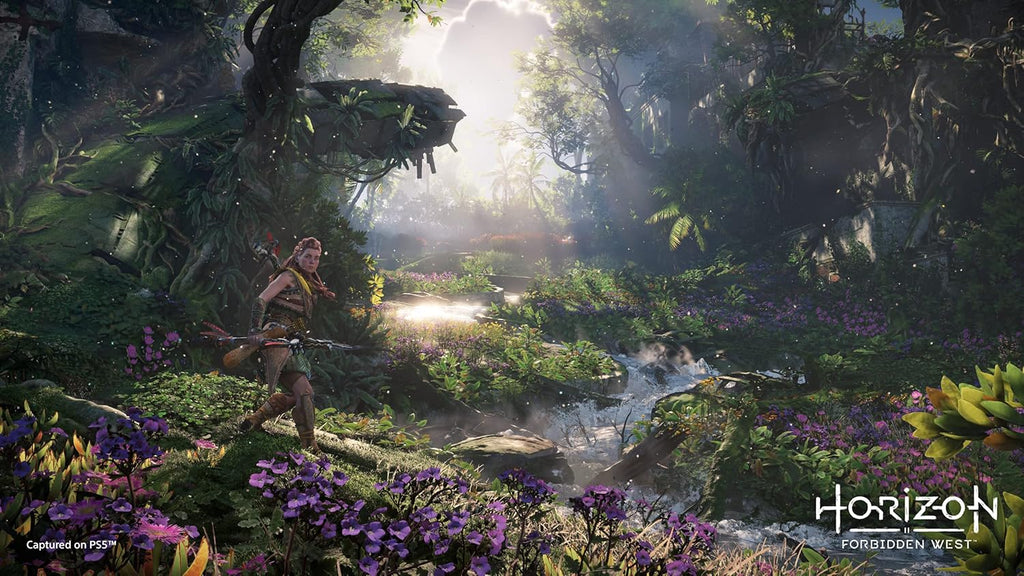 PlayStation Horizon: Forbidden West - PS5 - Version française