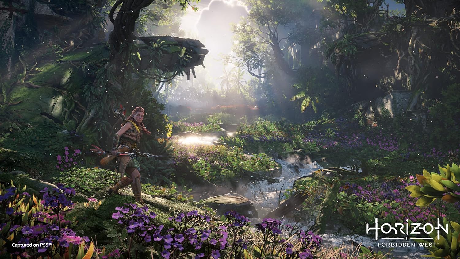 PlayStation Horizon: Forbidden West - PS5 - Version française