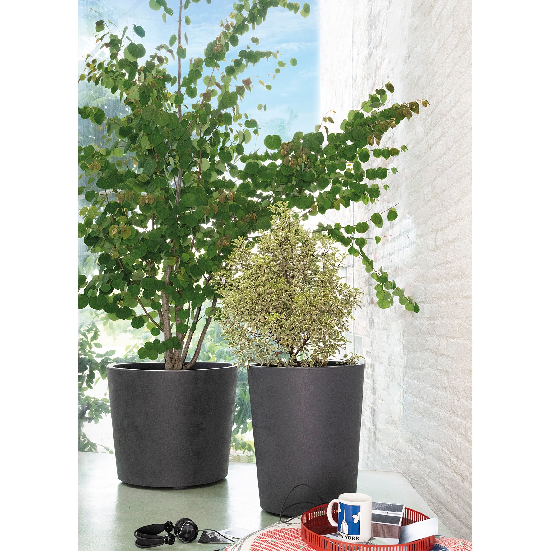 DEROMA Vaso Millennium R Anthracite à réserve d'eau et roulettes 59cm