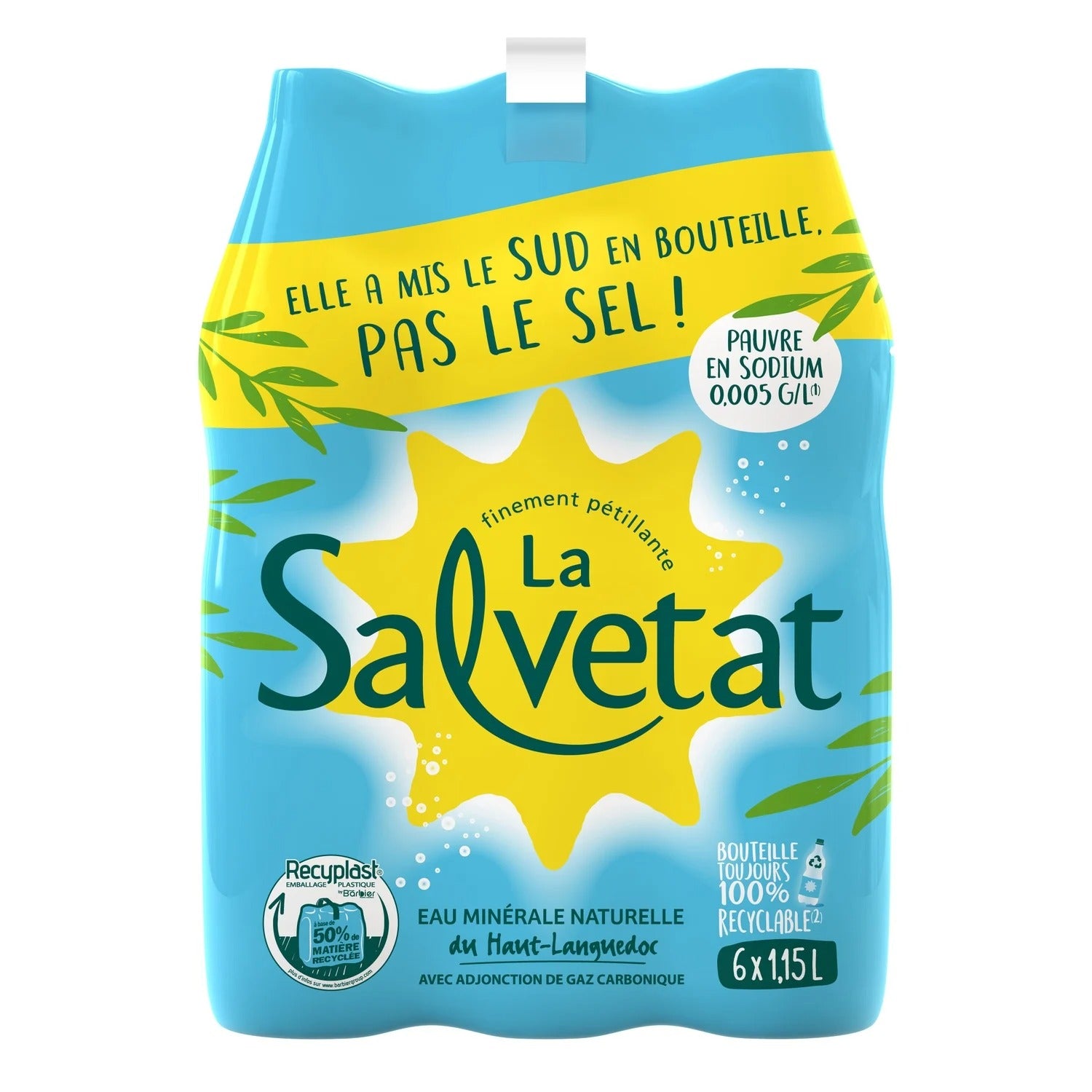 SALVETAT Eau gazeuse minérale naturelle 6x1.15L