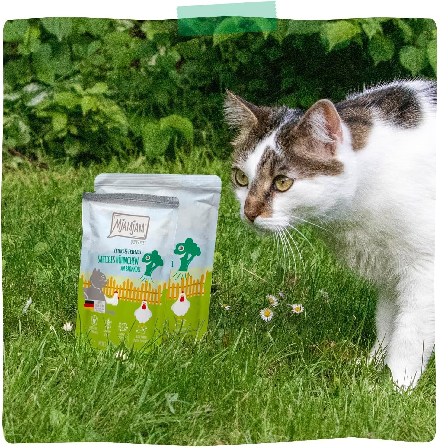 [Peut être servi frais pour l'été] MjAMjAM Quetschie Nourriture humide pour chat au poulet - 300 g x 6