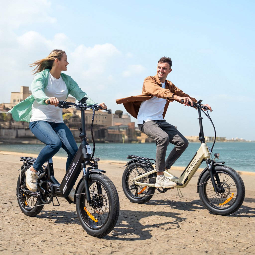 ENGWE L20 3.0 Boost Vélo électrique, Vélo électrique avec application, Batterie 48 V 13,5 Ah jusqu'à 135 km, Capteur de couple et freins hydrauliques, Pneus 20 x 3,0, Recharge en 2 h - Noir