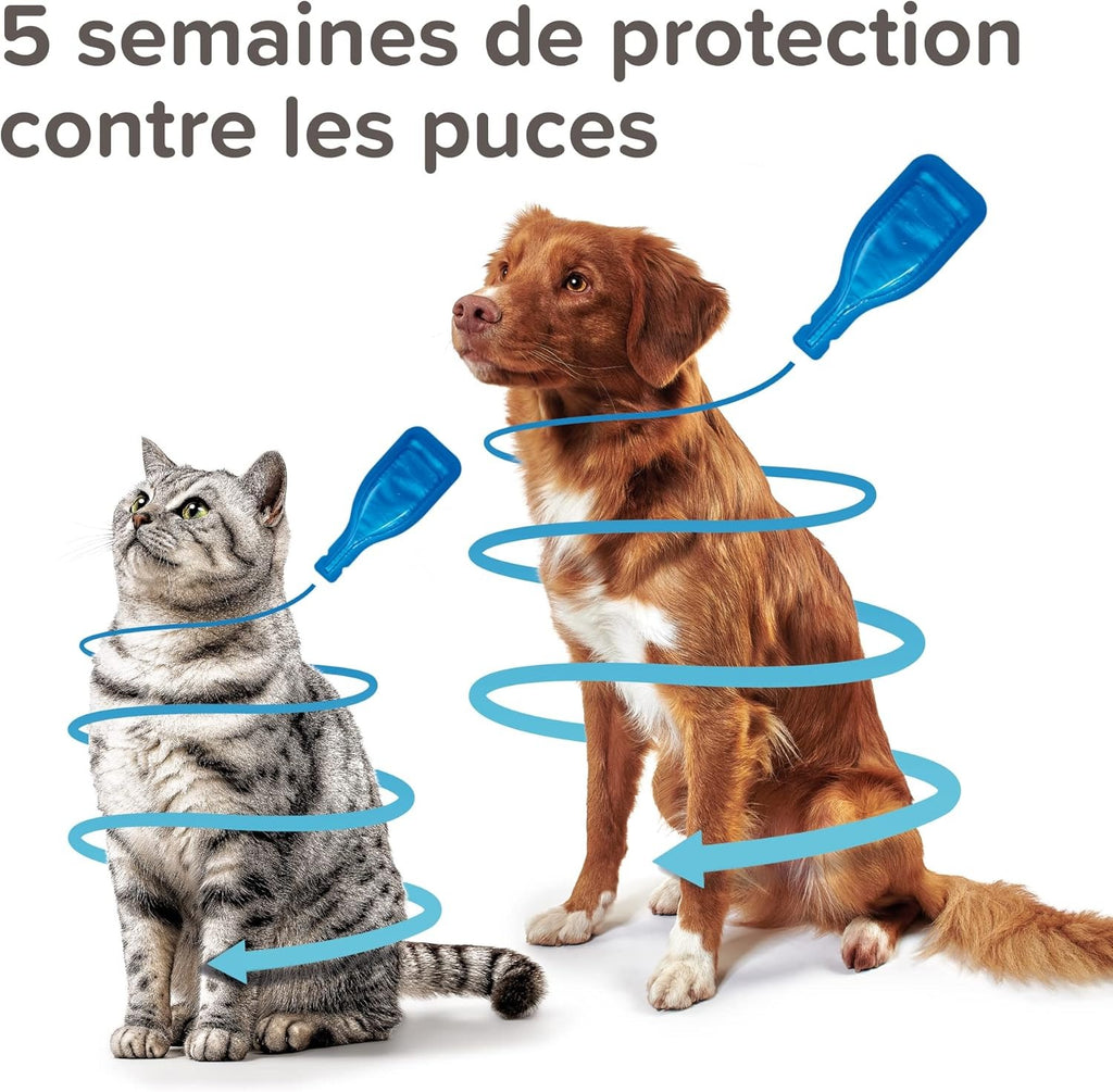 BEAPHAR Fiprotec Spot On pour chiens 10-20 kg 3+1 pipettes