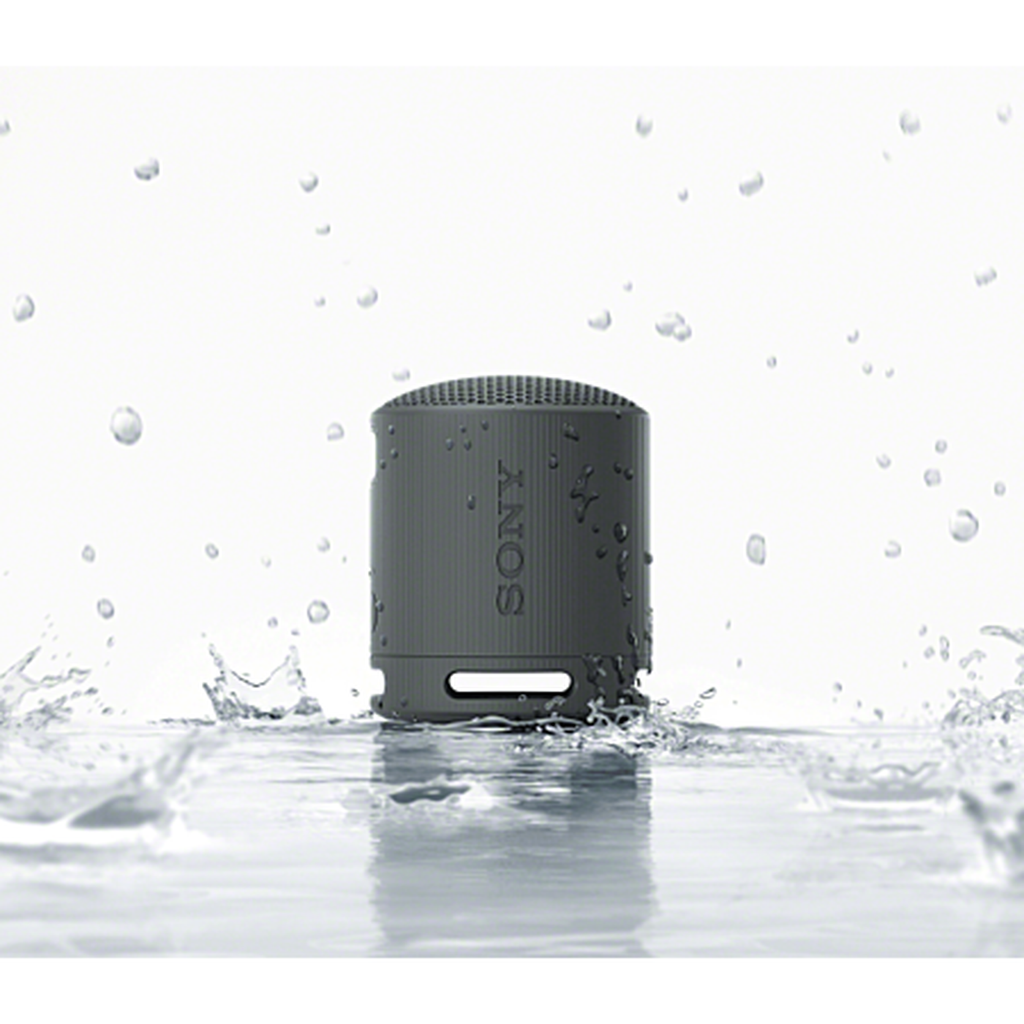 Sony SRS-XB100 Enceinte Bluetooth portable